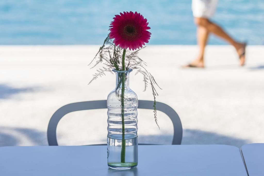 Domus Maritima Hotel Trogir